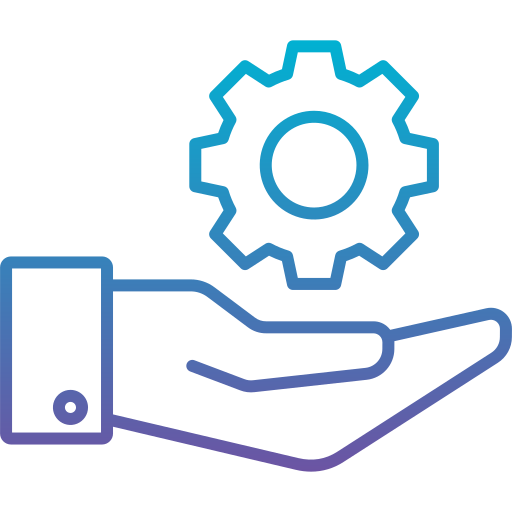 Customization and Implementation of DHIS2